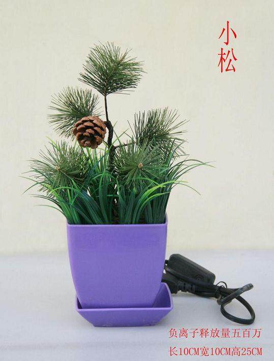 负离子活氧生态盆景