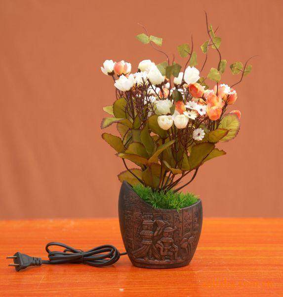 花都生态农业示范园：花木盆景铺就农民致富路