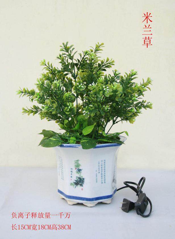 康茄福负离子活氧生态盆景引领健康潮流