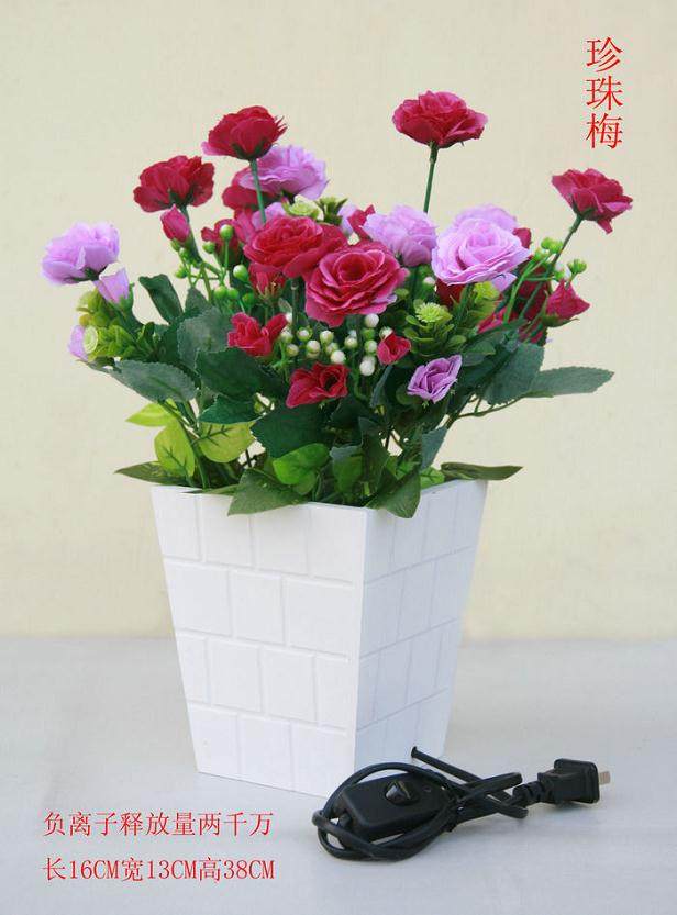 红山村青年农民周李辉便迷上生态盆景