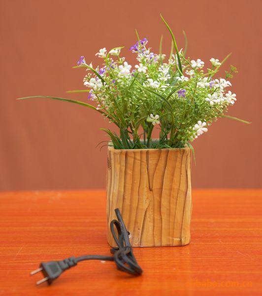 负离子活氧生态盆景你听说过没