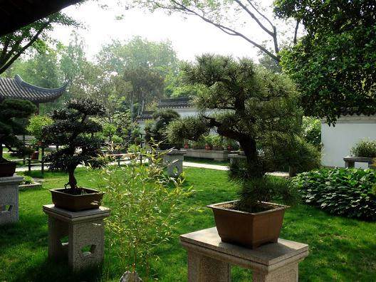 上海植物园的山石盆景展览馆