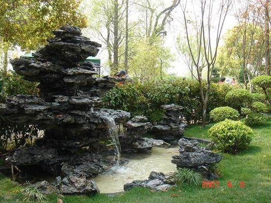 上海植物园发行国内首套盆景极限明信片