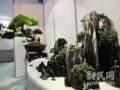 国庆期间上海植物园举办园艺展 盆景精品集中亮相