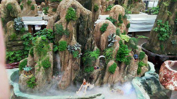 吸水石盆景上适合栽种什么植物？