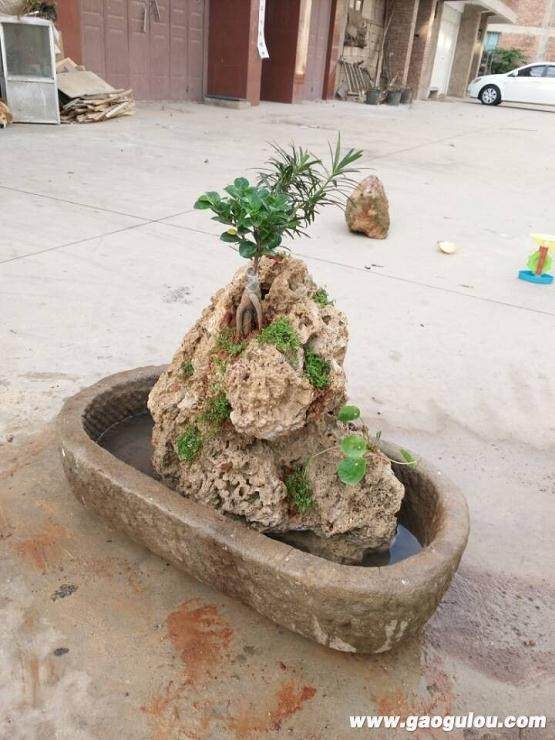 吸水石盆景制作中心