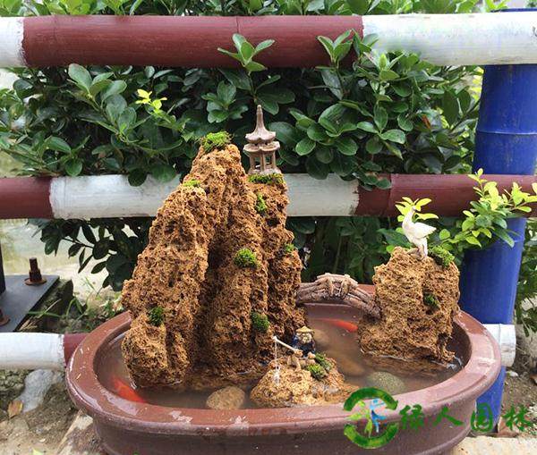 吸水石盆景上种的文竹,怎么样?