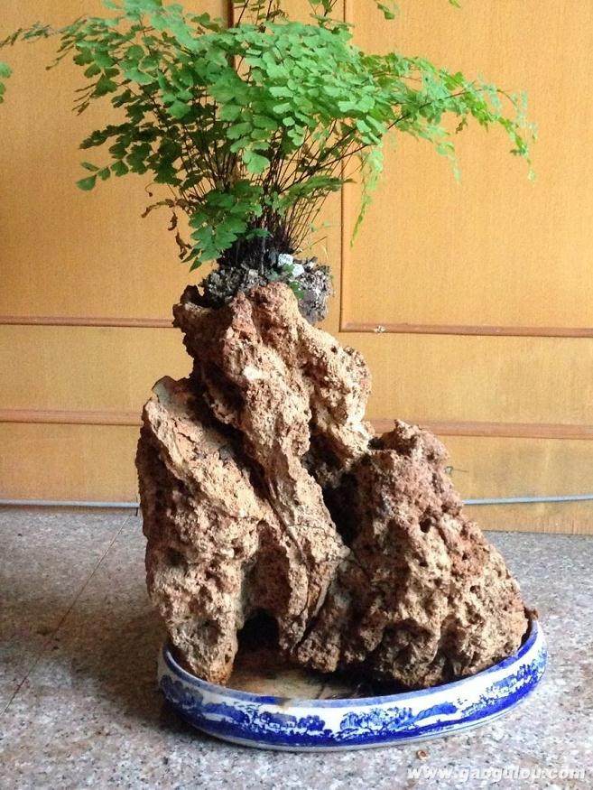 本店主要经营吸水石盆景