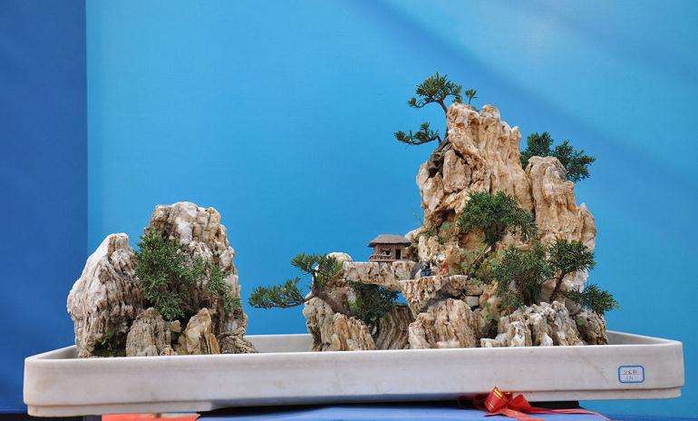 如何给山水盆景的造景选材料