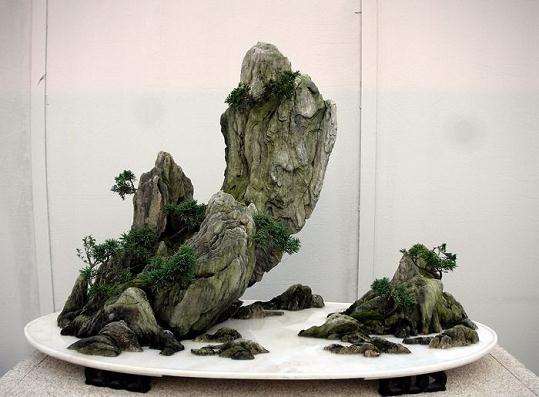 常见的山水盆景构图形式