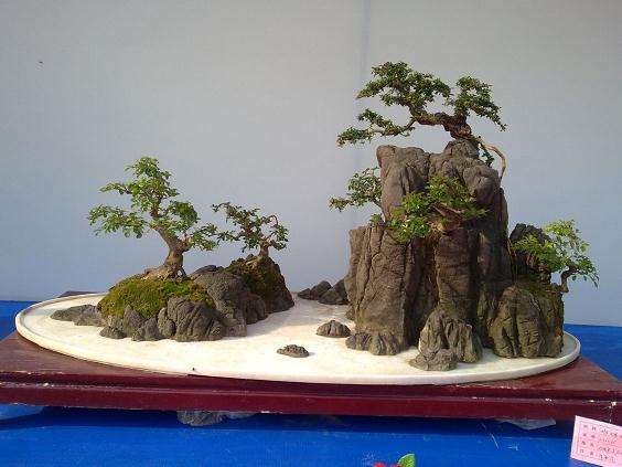 中国盆景盆历史演化十一