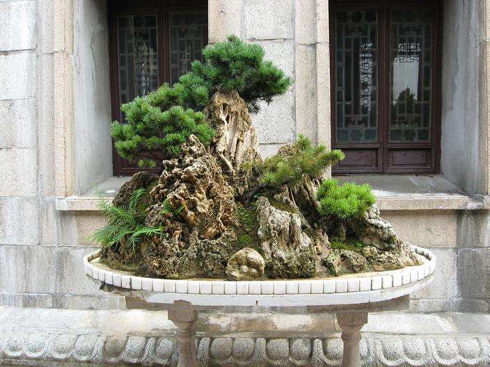 谈中国花卉盆景的盆