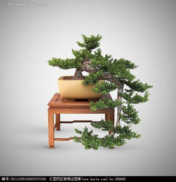 盆栽基本的树型