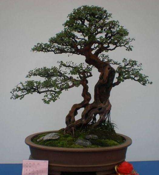 作画写字 陶冶情操