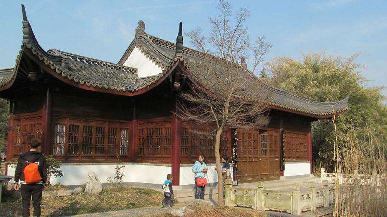 焦山盆景园观后记