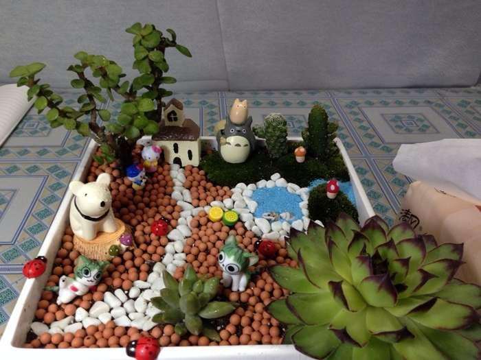 在途中购得一些火山岩做盆的微缩绿植盆景