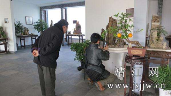 靖江盆景公园是古朴典雅的盆景艺术展览馆