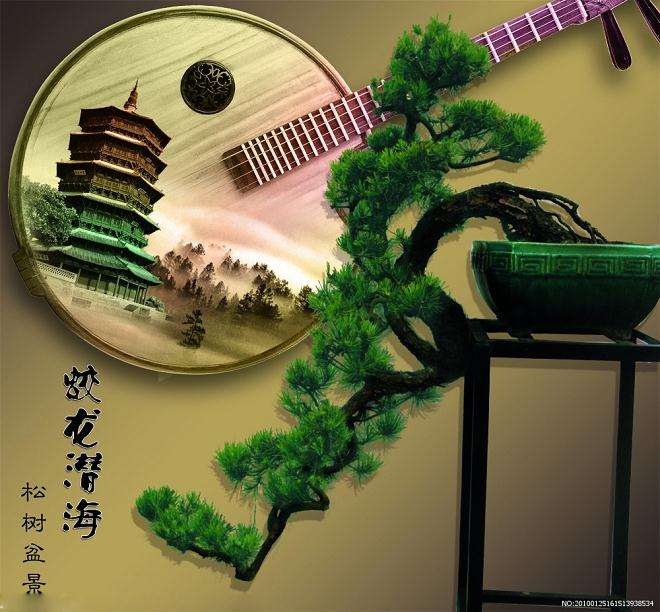 江浙一带的名家大户盆景园的精品他们都见过