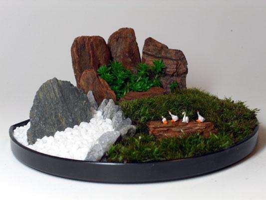 盆景创作的随想