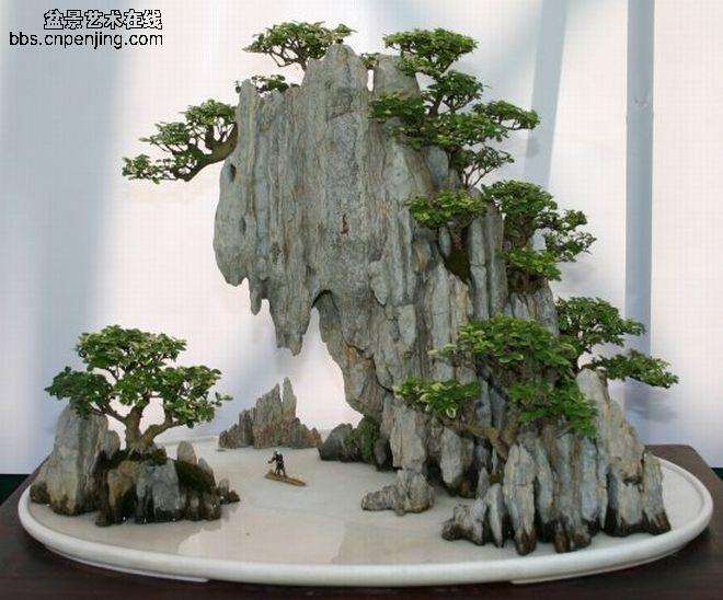 如何拍摄盆景作品