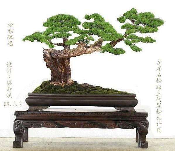 培育养殖盆景的基本做法归根结底就一条