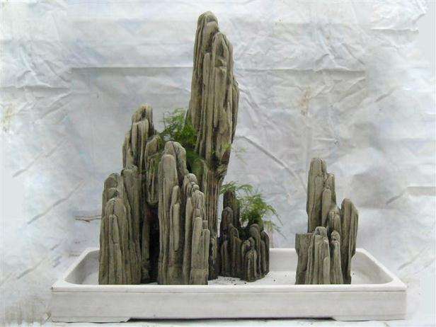 养心亦养文的盆景