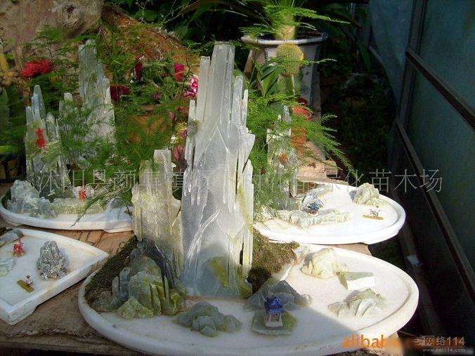 提高盆景艺术工作者心理素质之我见