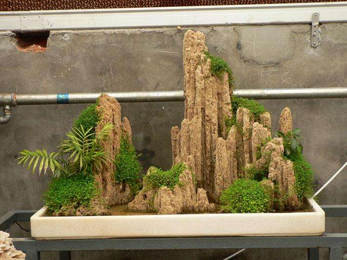 中国盆景的误区之一在于:其实并非有了所谓“创新”便可称之艺术