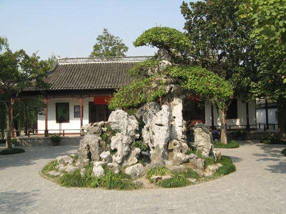 时间也是盆景创作的障碍和依托 给从艺者带来无奈与等待