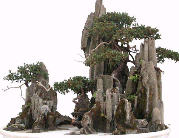 用佛家思想创作盆景艺术