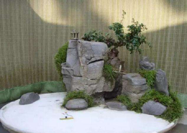 中国盆景流派——桂派