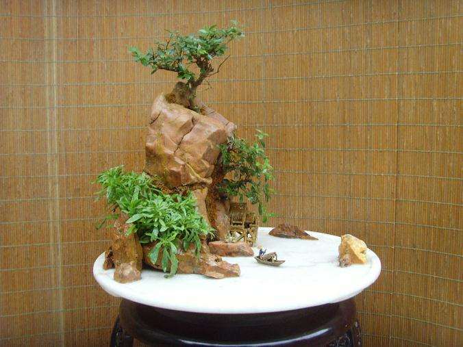 山水盆景与“三远”法