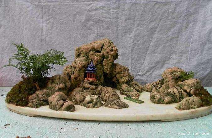 山水盆景怎样进行管理