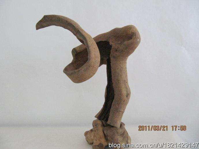 广东肇庆市举办第二届奇石、盆景、根艺精品展