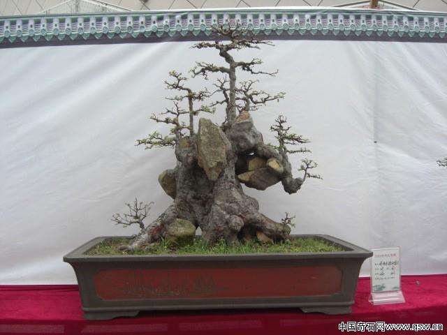 福鼎市举办“闽浙边界