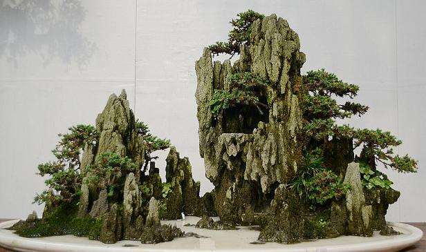 北京盆景艺术研究会第五届理事会