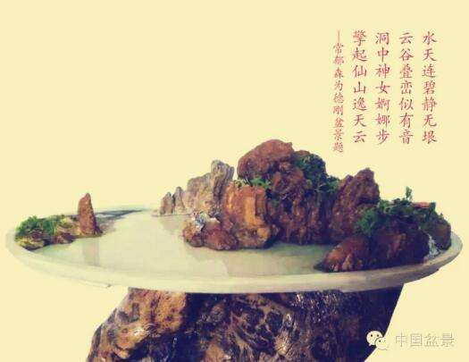 在盆景界享有云谷先生美誉的张德刚