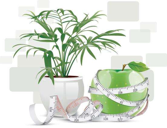 适合放在室内的植物小盆栽有哪些?