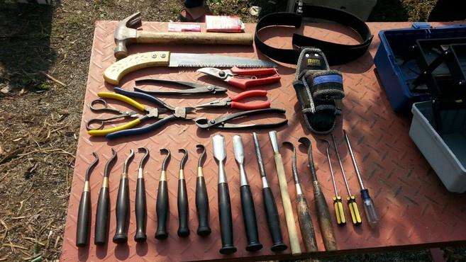 太原盆景工具销售