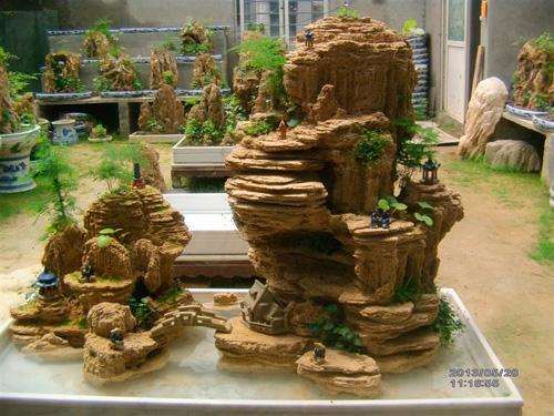 太原盆景捧得大奖