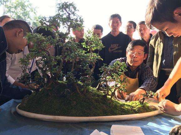 陕西省第二届盆景赏石根艺暨书画展