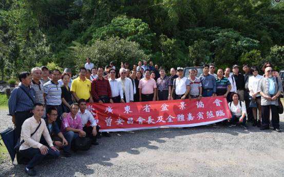 第十一届粤港澳台盆景艺术博览会在台湾成功举行