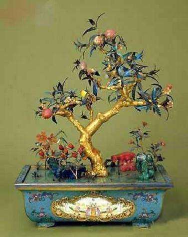 红宝石梅寿长春盆景