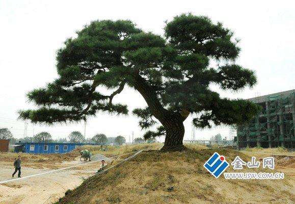 江苏：运博会暨首届全球设计城市峰会主题论坛昨召开