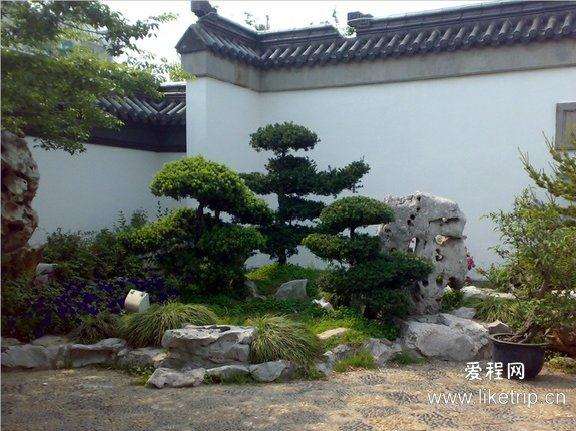 2011南通盆景菊花精品展9月29日开展