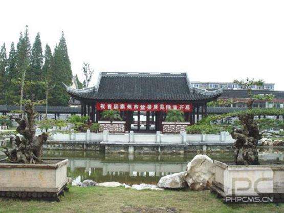 泰州盆景申报国家非物质遗产