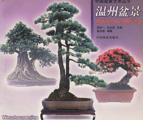 《温州盆景》
