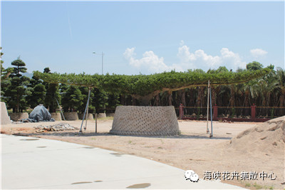 罗汉松盆景的价格 为何可达百万甚至上千万