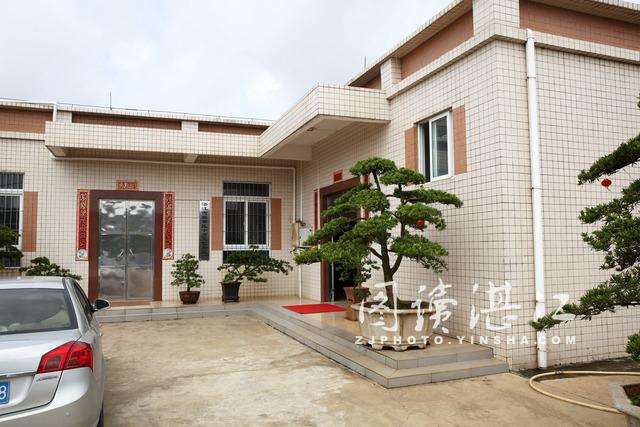 珠三角近年出现了罗汉松盆景热 使其价格大幅上涨