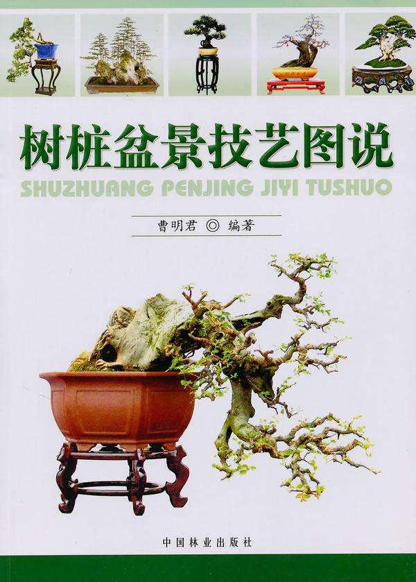 在丽水开店卖买盆景 可以吗?